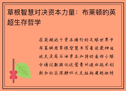 草根智慧对决资本力量：布莱顿的英超生存哲学